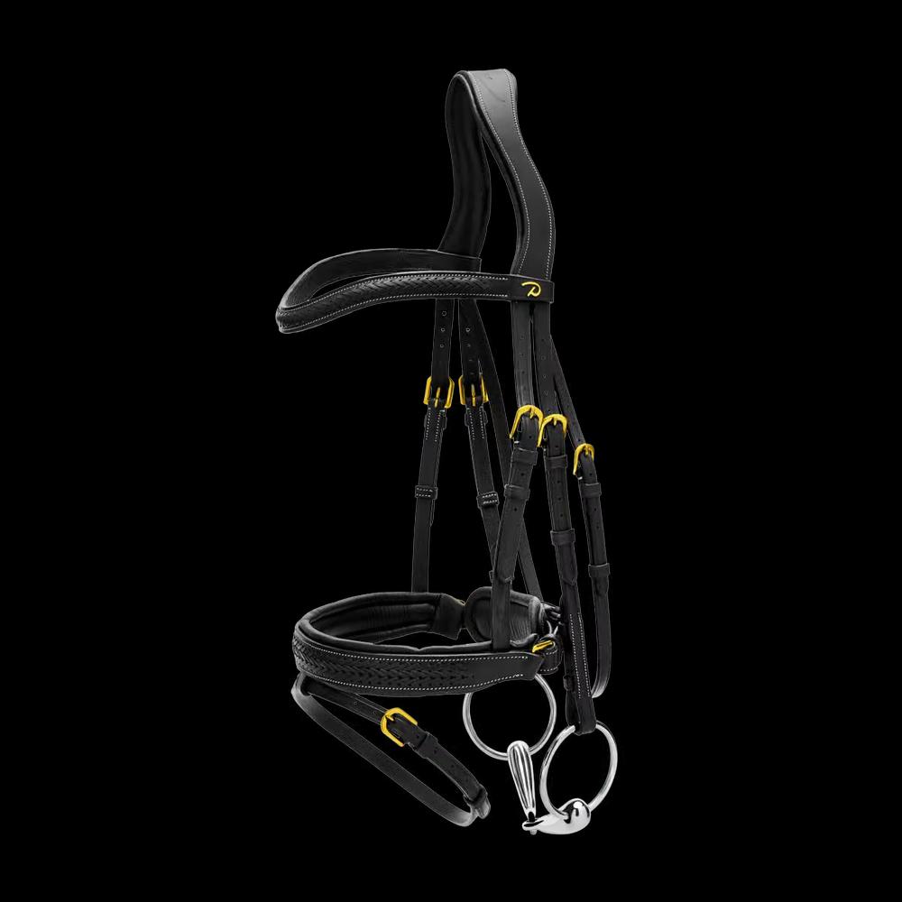 Plaited Flash Noseband Bridle with Pull back DY, black